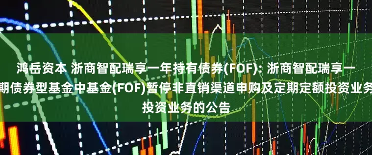 鸿岳资本 浙商智配瑞享一年持有债券(FOF): 浙商智配瑞享一年持有期债券型基金中基金(FOF)暂停非直销渠道申购及定期定额投资业务的公告