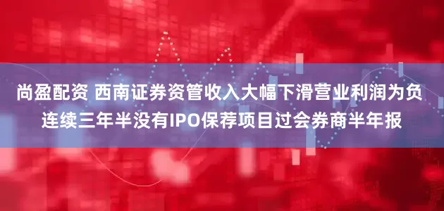 尚盈配资 西南证券资管收入大幅下滑营业利润为负 连续三年半没有IPO保荐项目过会券商半年报
